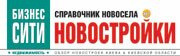 logo-bsn